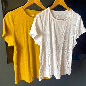 2 Everlane Cotton Shirts XL
